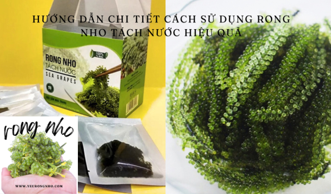 Hướng dẫn chi tiết cách sử dụng rong nho tách nước hiệu quả